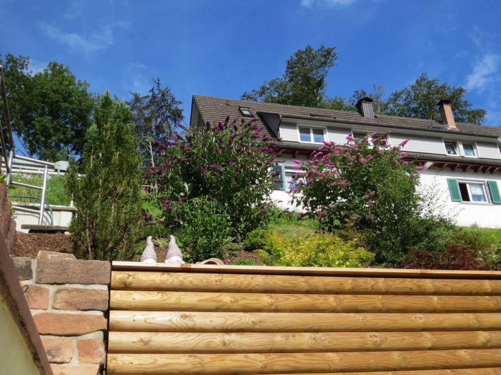 Ferienwohnung Am Kapellenberg - Am Rande Des Nationalparks Schwarzwald 바트 페테르스탈-그리스바흐 외부 사진