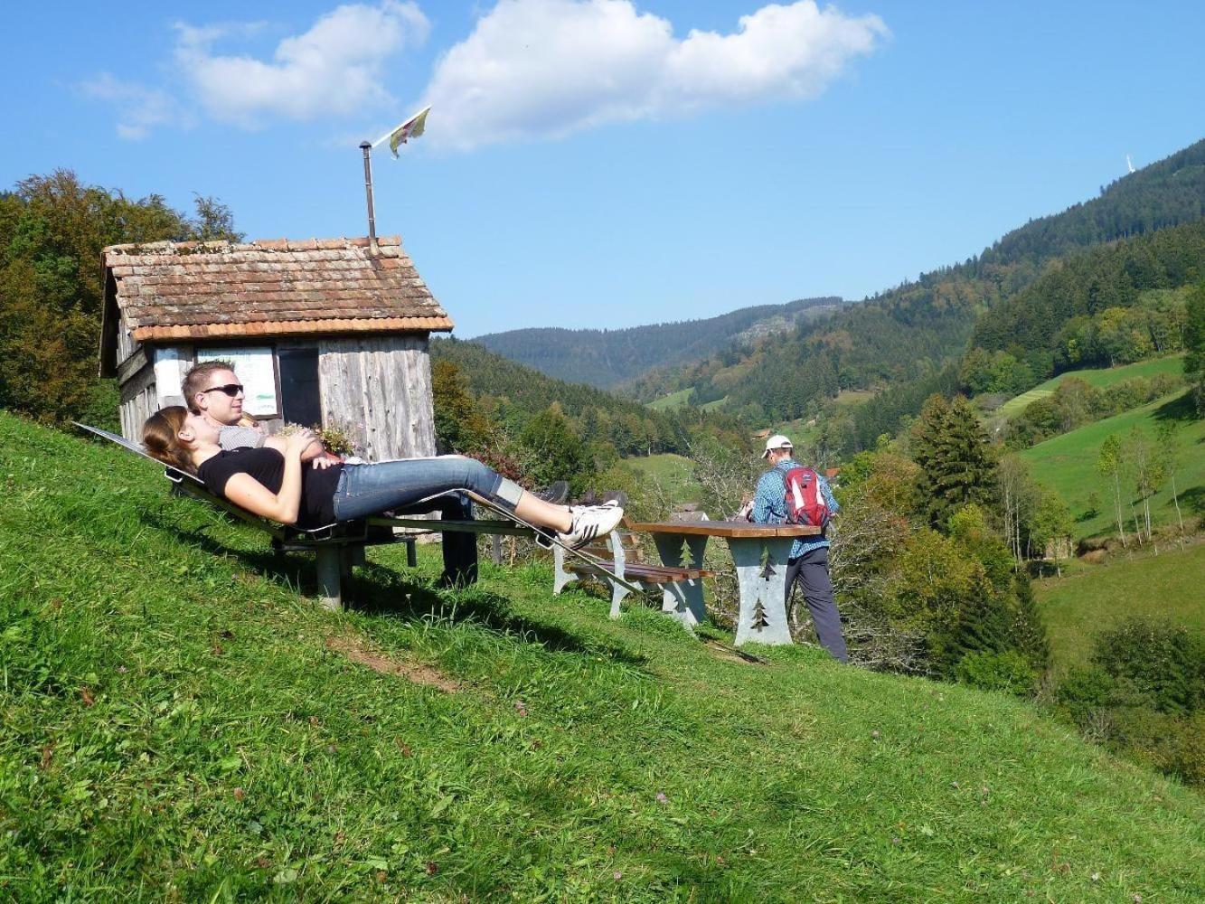 Ferienwohnung Am Kapellenberg - Am Rande Des Nationalparks Schwarzwald 바트 페테르스탈-그리스바흐 외부 사진