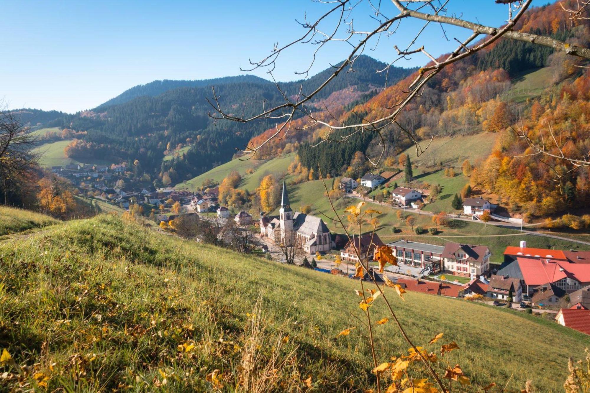 Ferienwohnung Am Kapellenberg - Am Rande Des Nationalparks Schwarzwald 바트 페테르스탈-그리스바흐 외부 사진