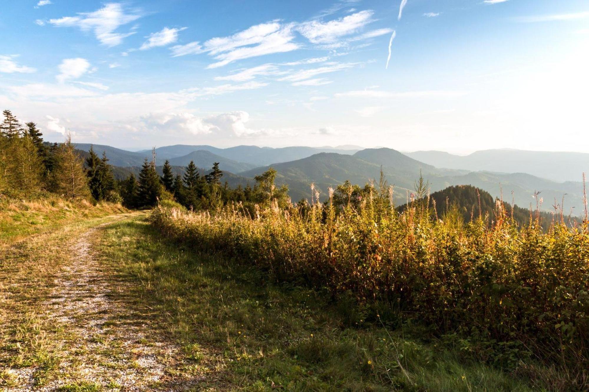 Ferienwohnung Am Kapellenberg - Am Rande Des Nationalparks Schwarzwald 바트 페테르스탈-그리스바흐 외부 사진